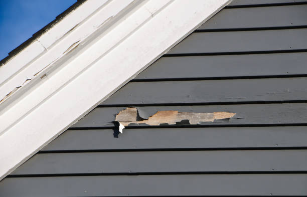 Best Custom Trim and Detailing for Siding  in Hamilton City, CA