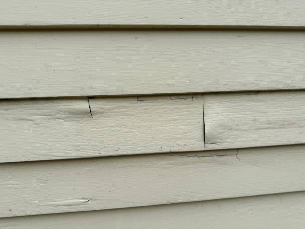 Best Fiber Cement Siding Installation  in Hamilton City, CA